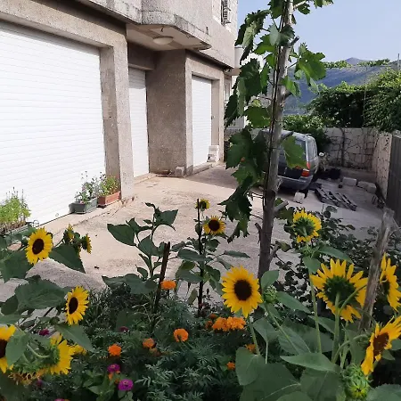 Appartement Nepe *