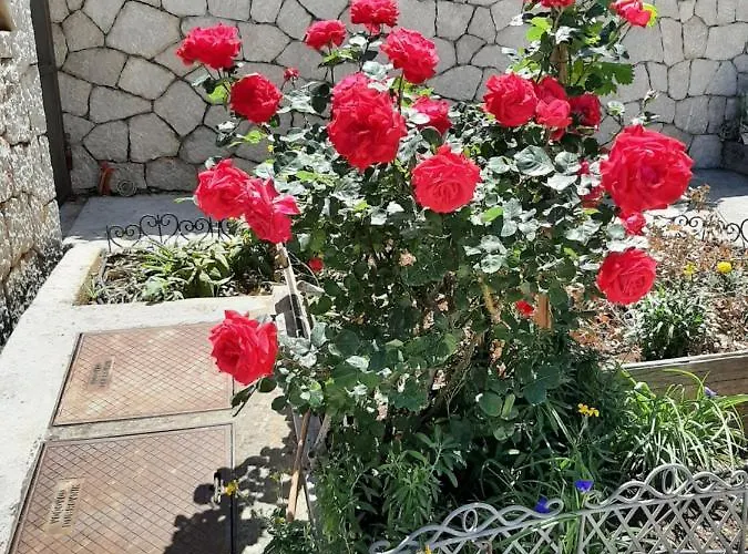 Nepe Dubrovnik