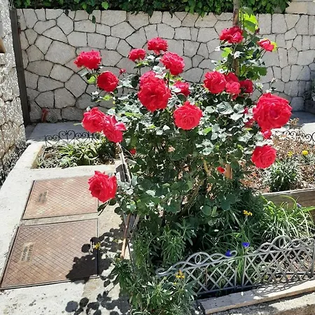 Nepe Dubrovnik