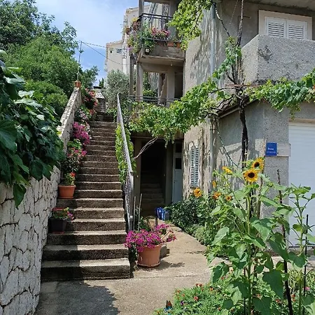 Nepe Apartamento *